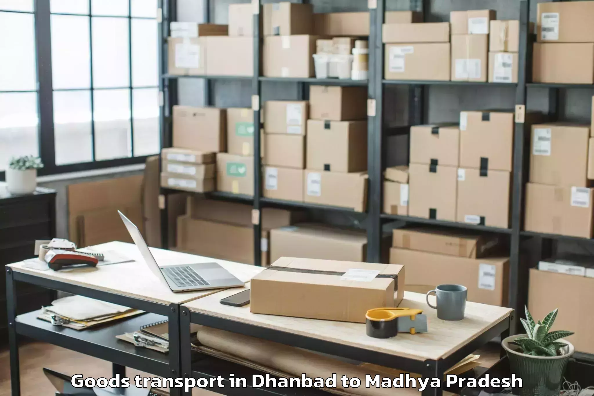 Top Dhanbad to Banikhedi Goods Transport Available